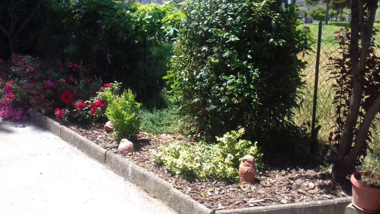 B&B Casa Losea Castello delle Forme エクステリア 写真