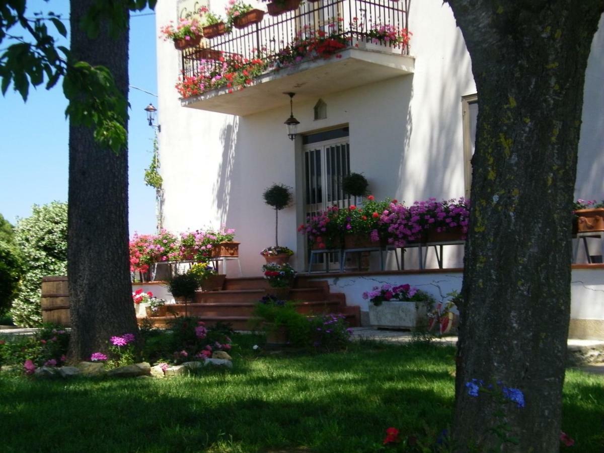 B&B Casa Losea Castello delle Forme エクステリア 写真