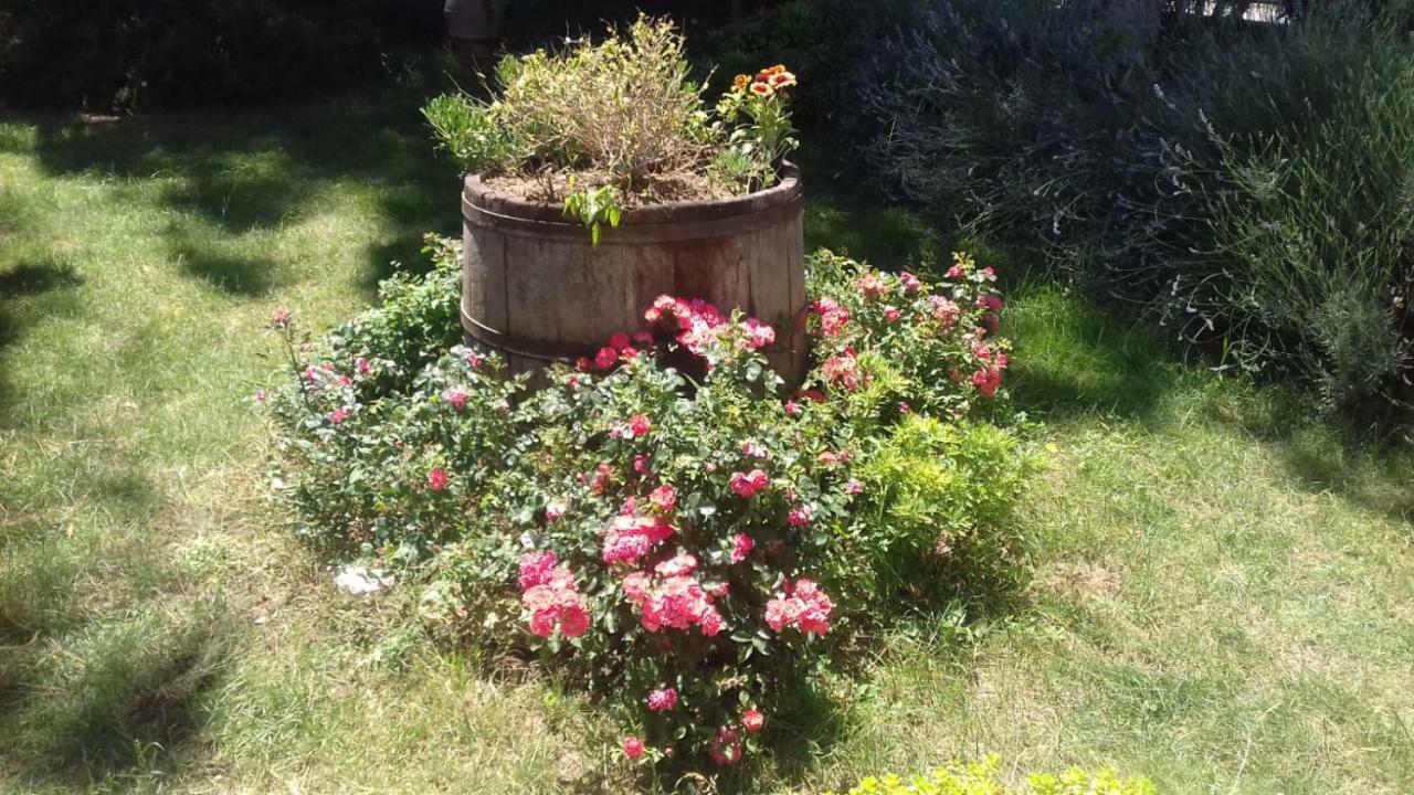 B&B Casa Losea Castello delle Forme エクステリア 写真