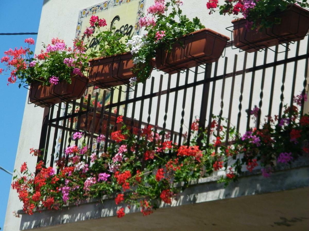 B&B Casa Losea Castello delle Forme エクステリア 写真